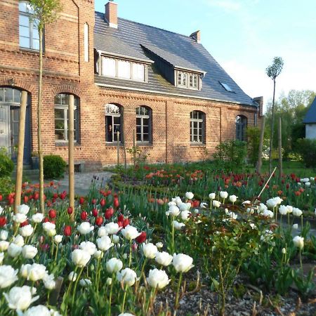 Gutshaus Altbauhof Leilighet Dargun Eksteriør bilde