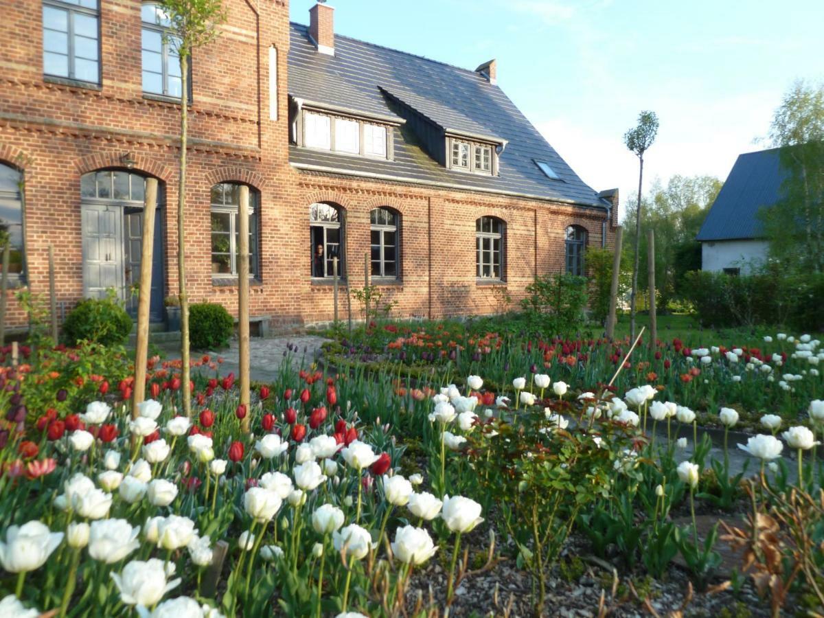 Gutshaus Altbauhof Leilighet Dargun Eksteriør bilde